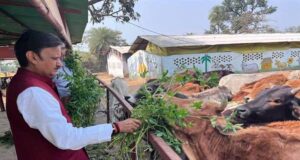 उप मुख्यमंत्री शुक्ल ने लक्ष्मणबाग गौशाला का किया भ्रमण