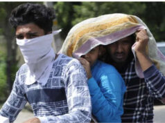 MP में अगले 4 दिन का मौसम अलर्ट: 12 जिलों में आंधी-बारिश, ग्वालियर-जबलपुर में भारी बारिश, भोपाल-इंदौर में गर्मी